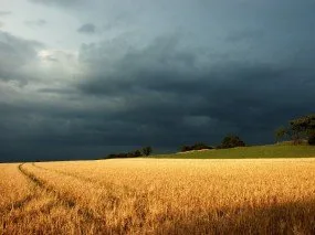 Уровень кислотности осадков, выпавших на Херсонщине, в пределах нормы