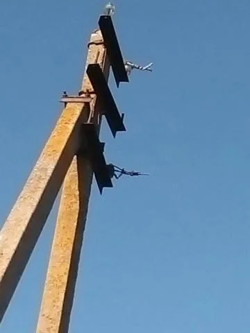 Дерзкое ограбление: воры вырезали больше километра электропроводов