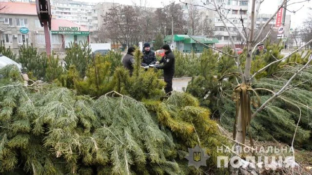 На Херсонщине полиция проверяет законность реализации хвойных деревьев