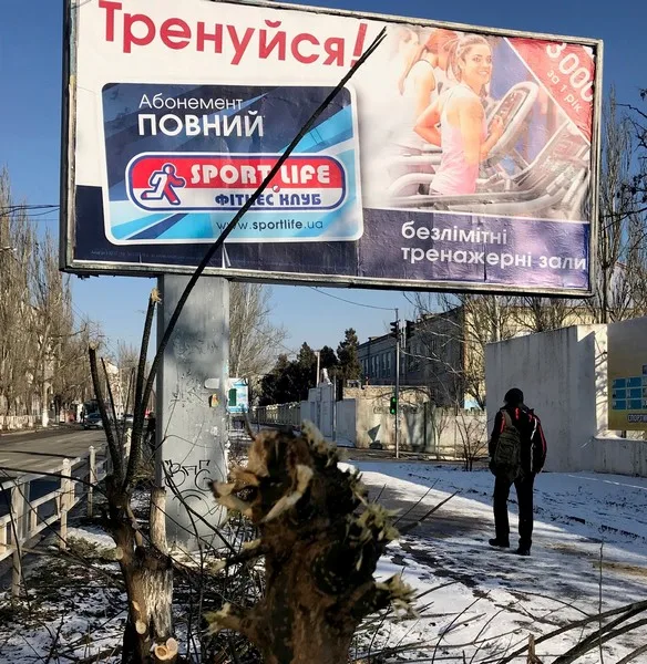 В Херсоне вокруг билборда «Спорт Лайф» спилили деревья японской софоры