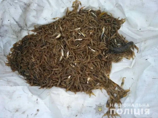 В Каржинском заливе Черного моря задержали браконьеров