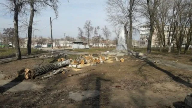 В Каховке от сильного ветра рухнули дерево и билборд