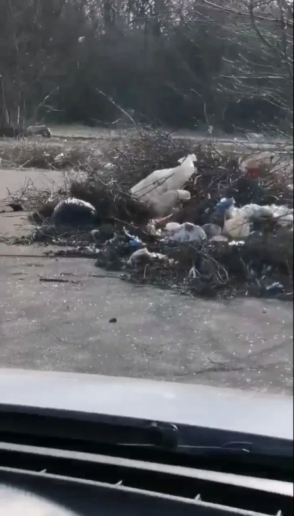 Курортный Скадовск на грани мусорной эпидемии