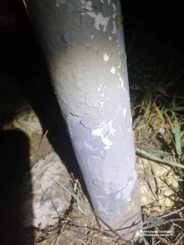 Патрульные «на горячем» задержали отца и сына, которые спиливали дорожные знаки
