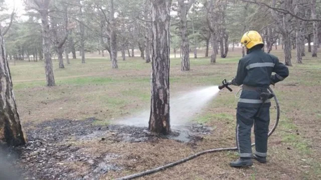 Под Каховкой горел лес