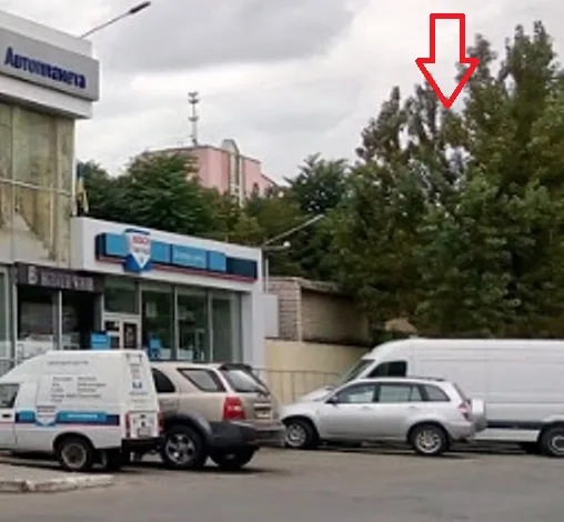 Вместо гнилых тополей в центре Херсона спилили здоровые деревья для новой парковки