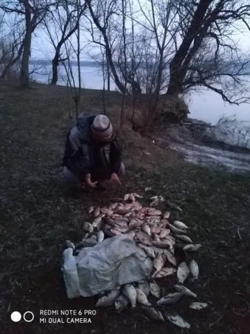 За прошлую неделю браконьеры нанесли ущерб рыбному хозяйству на 18 тысяч гривен