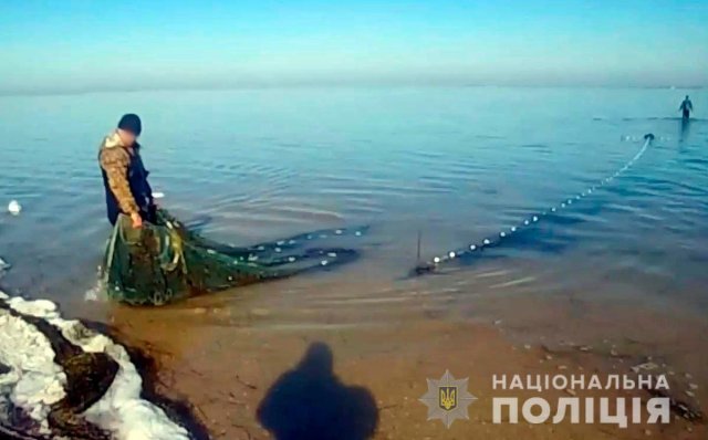 Работники полиции возле Джарылгача освободили из браконьерских сетей краснокнижных крабов