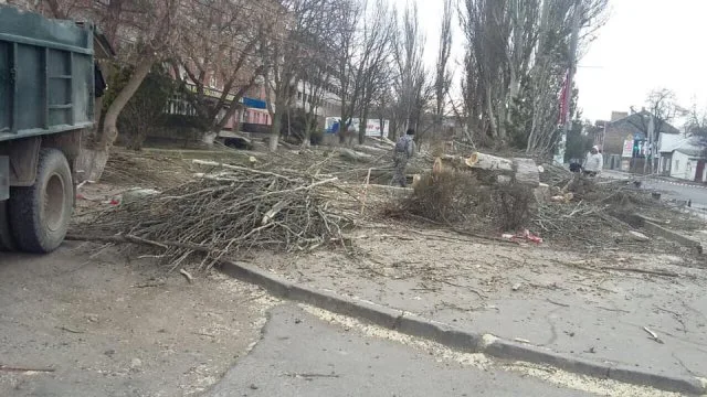 В центре Херсона уничтожают деревья. Появится очередной МАФ?