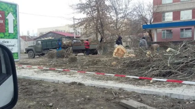 В центре Херсона уничтожают деревья. Появится очередной МАФ?