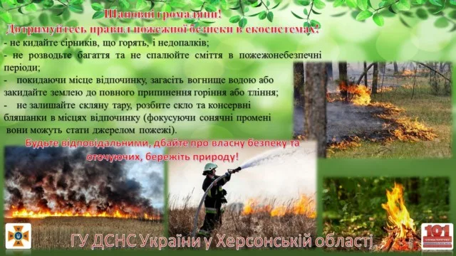 В области за сутки 11 раз горели мусор, сухая трава и камыш