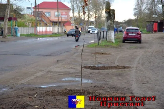В Голой Пристани на центральной улице города высадили 100 платанов
