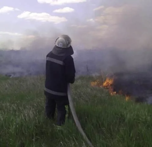 В области за сутки 4 раза горели сухая трава и камыш