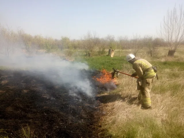 В области за сутки спасатели 4 раза привлекались к тушению сухой травы и камыша