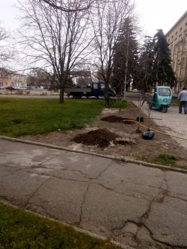 В Геническе озеленили город еще на 100 деревьев