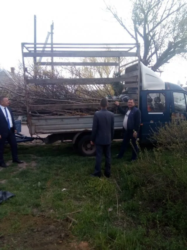 В Геническе озеленили город еще на 100 деревьев