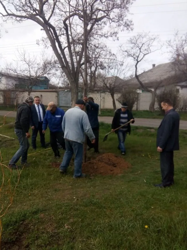 В Геническе озеленили город еще на 100 деревьев