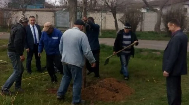В Геническе озеленили город еще на 100 деревьев