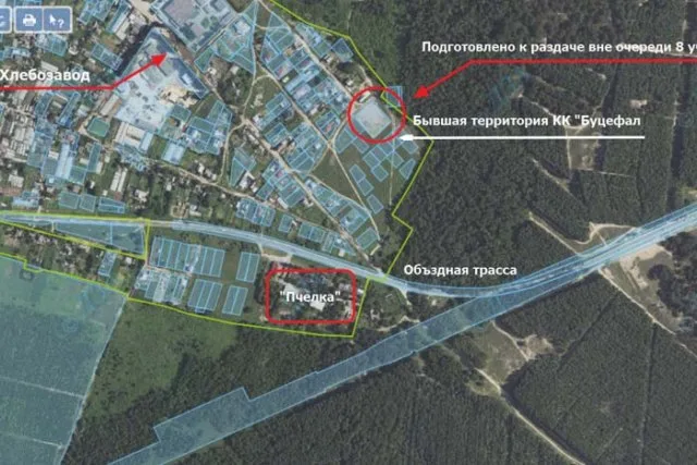 Депутат горсовета Олешек осуждена за коррупцию