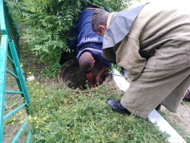 Черная и рыжая собаки угодили в колодец в Бериславе