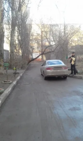 Вместо 2-х срубленных обещают 20 новых: в херсонском дворе на ХБК рубят деревья