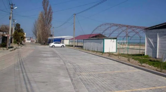 В Геническе воруют свежевысаженные деревья и кустарники