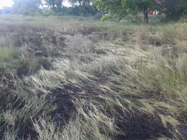 За прошедшие сутки в области ликвидировано 4 случая возгорания сухой травы и мусора