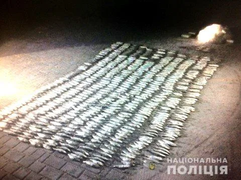 В Голой Пристани разоблачили браконьера с уловом на 117 тысяч гривен