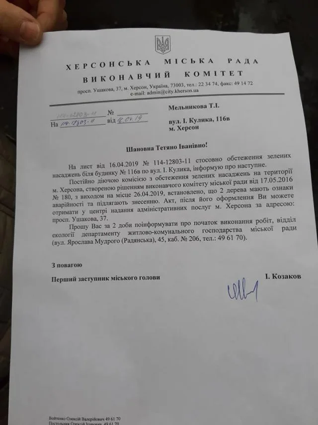 Очередное варварство в Херсоне: под корень спилили здоровые деревья