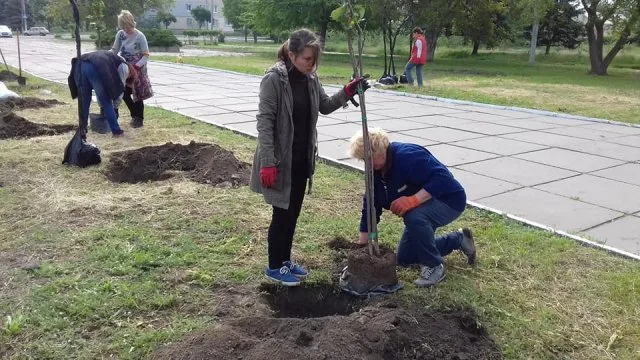В Каховке высадили аллею сакур