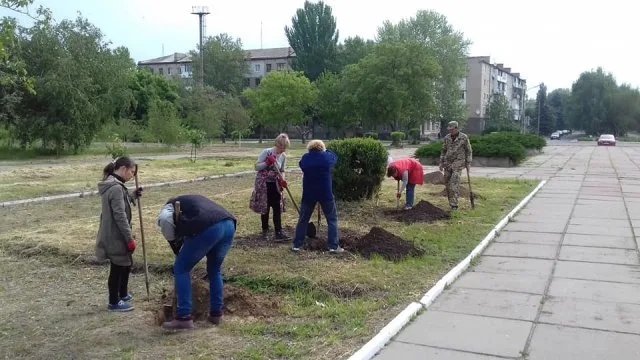 В Каховке высадили аллею сакур