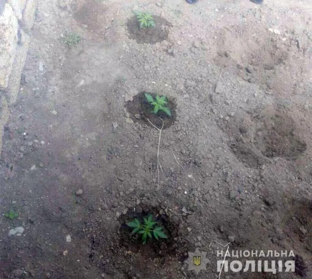 На Херсонщине полицейские разоблачили наркодилера