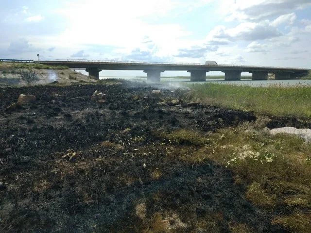 На Херсонщине за сутки 4 раза горели сухая трава и мусор