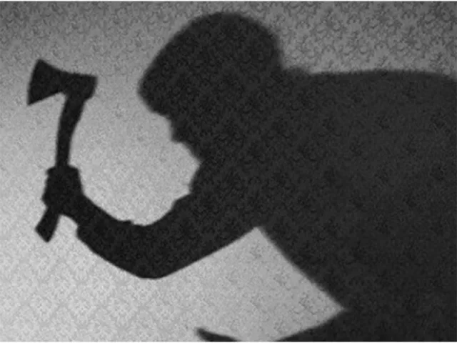 Зарубить родную мать пытался сельчанин на Херсонщине