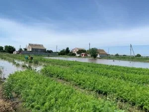 Новая Маячка под водой