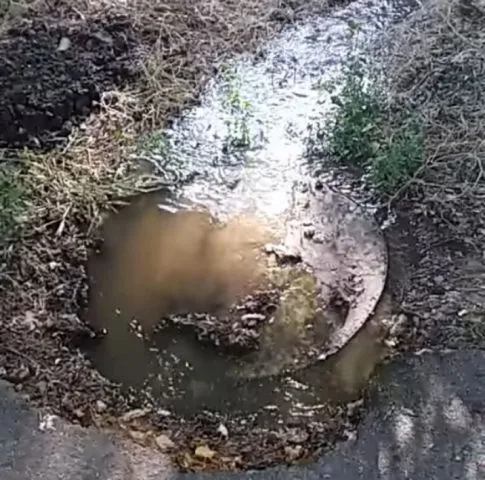 Херсонский парк утопает в канализационных водах