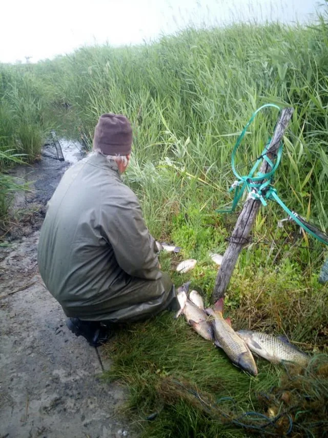 За неделю Херсонский рыбоохранный патруль задержал браконьеров с уловом почти 130 кг