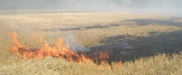 На Херсонщине пожары: жгут стерню
