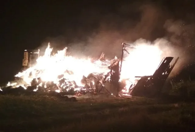 Нижнесерогозские пожарные ликвидировали пожар хозяйственной постройки