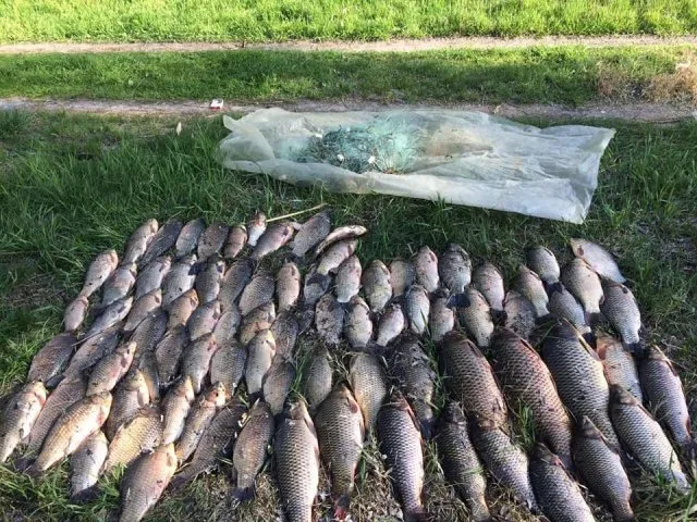 За полгода Херсонский рыбоохранный патруль выявил нарушений с убытками на полмиллиона гривен