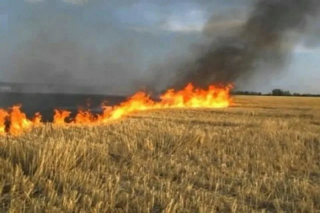 Поджоги на Херсонщине угрожают автотрассам и заповеднику