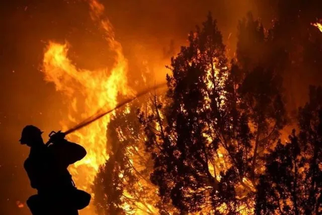 Пожарник пострадал во время тушения лесного пожара на Херсонщине