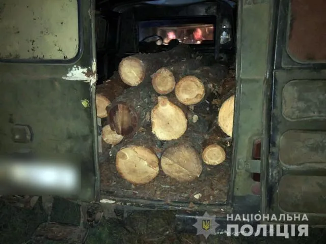 По факту незаконной порубки деревьев в Голопристанском районе открыто уголовное производство