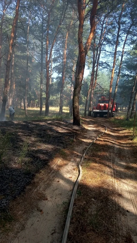 В Каховском лесничестве горел лес