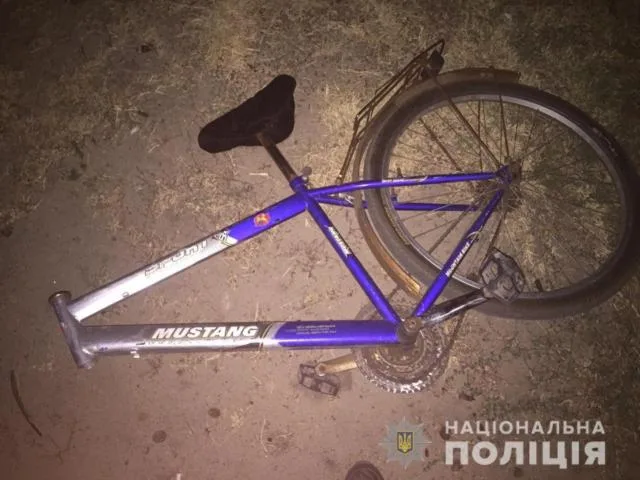 Суд арестовал водителя, который совершил смертельный наезд на велосипедиста в Голопристанском районе