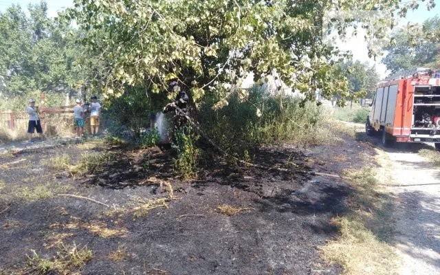 На Херсонщине смертельное ДТП: водитель иномарки погиб, на месте аварии горела трава