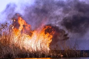В области за сутки дважды горела сухая трава и камыш