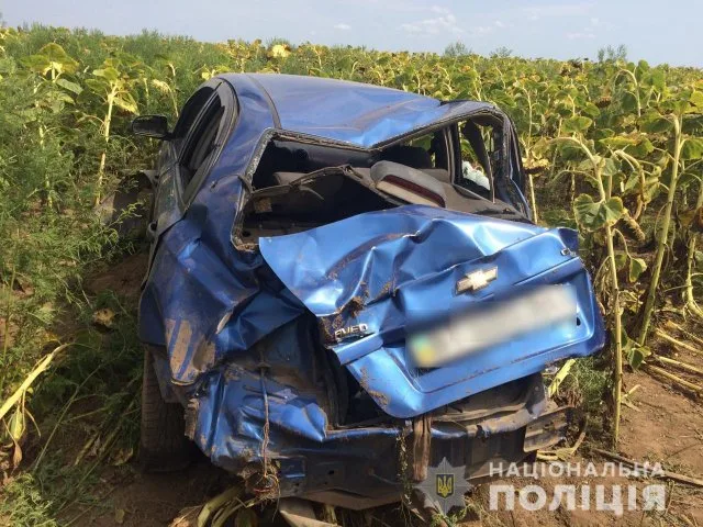 Полицейские задержали мужчину, который совершил смертельное ДТП в Бериславском районе