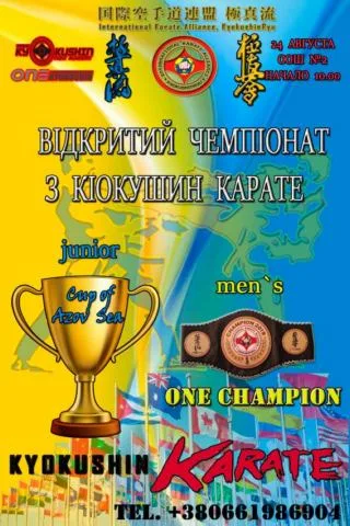 В рамках открытого чемпионата по киокушин каратэ в Новоалексеевке пройдут бои за чемпионский пояс по версии IKA