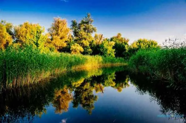 За неделю раскрыто 59 нарушений и изъято более 125 кг водных биоресурсов, – Херсонский рыбоохранный патруль